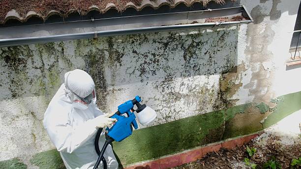 Top rated local Mold Remediation specialists in Chester Springs, PA